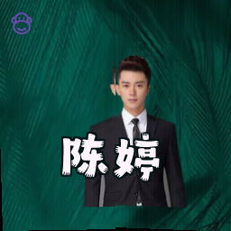 陈婷
